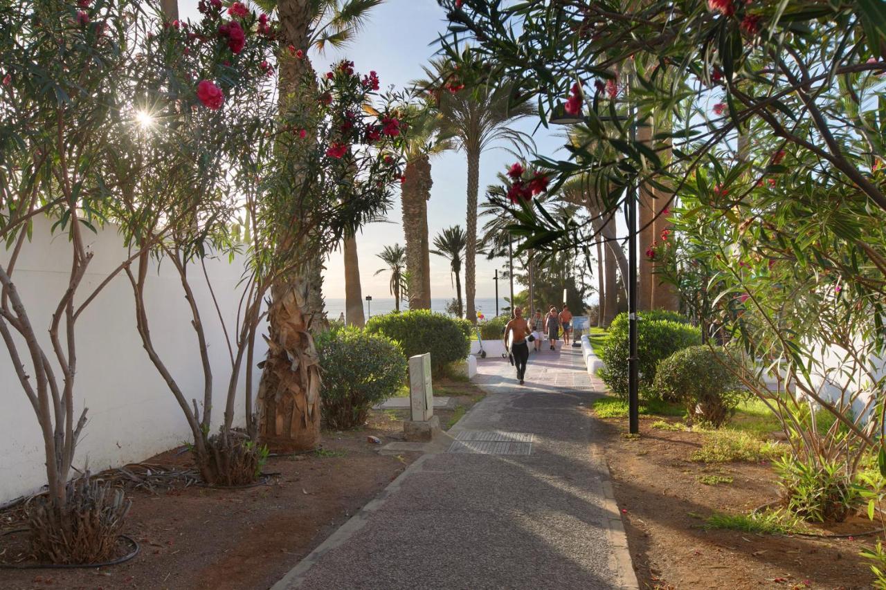 Apartment At 30 Mts From Sea Playa de las Americas  Exterior photo